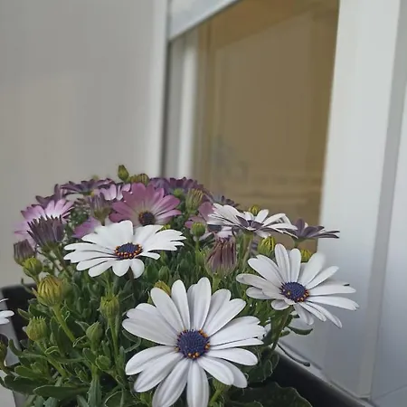 La Del Sastre Guest house Velez Malaga