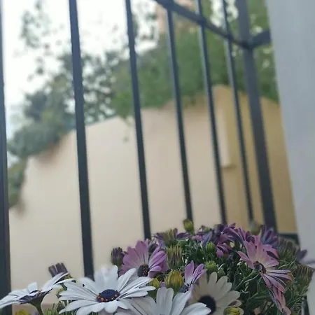 La Del Sastre Guest house Velez Malaga