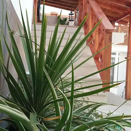 Guest house La Del Sastre