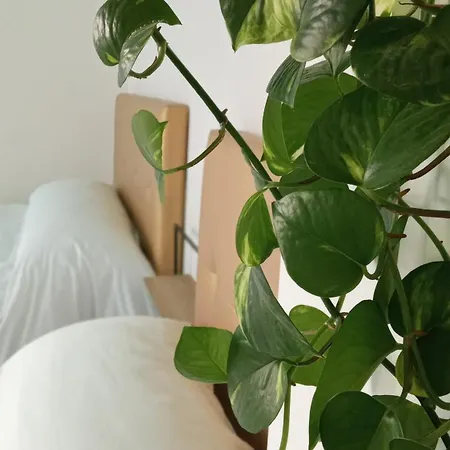 Guest house La Del Sastre Velez Malaga