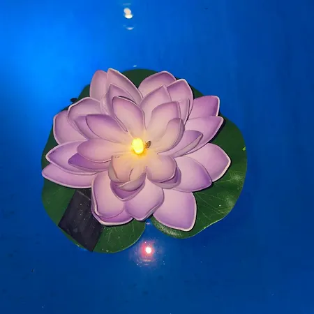 招待所 La Del Sastre 贝莱斯